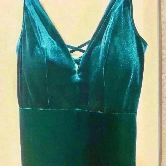 Velvet Dress - Picture 2 of 5